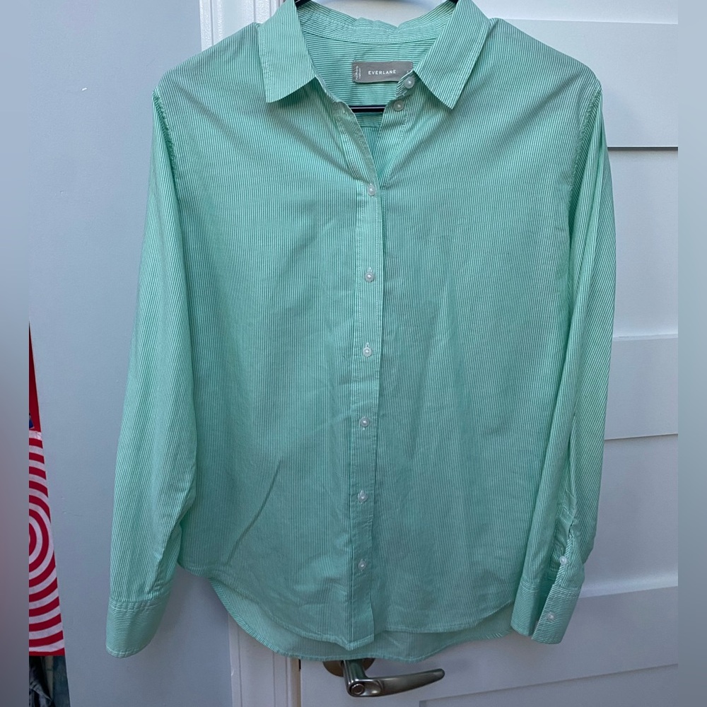 Everlane mint green pinstripe button down dress shirt - Picture 3 of 7